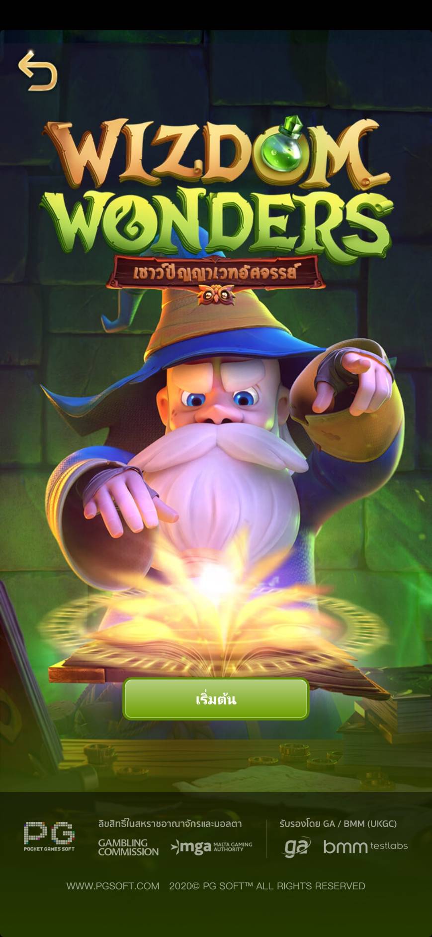 ตัวอย่างเกม Wizdom Wonders 1